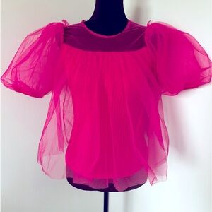 Anthropologie new chiffon stretch top